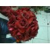 Buquet de Rosas Vermelha